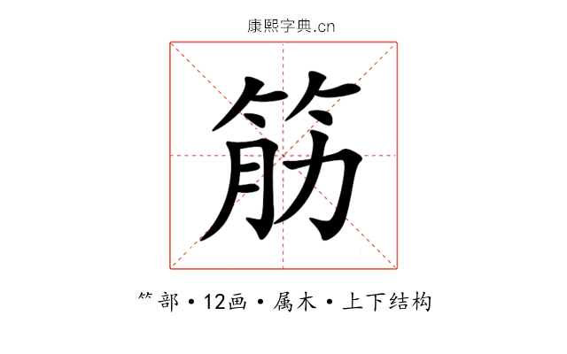 筋