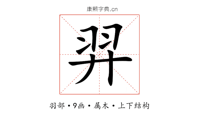 羿 羿