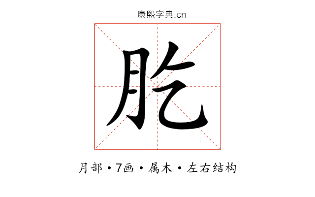 肐 肐