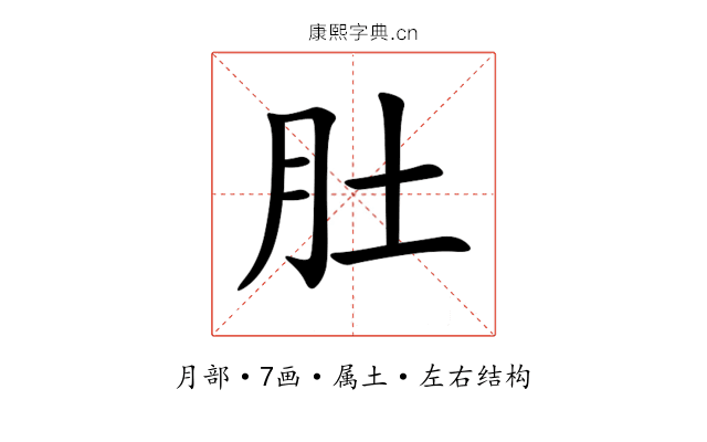 肚 肚