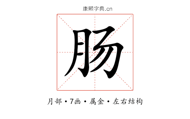 肠 肠