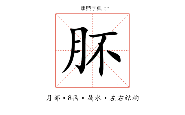 肧 肧