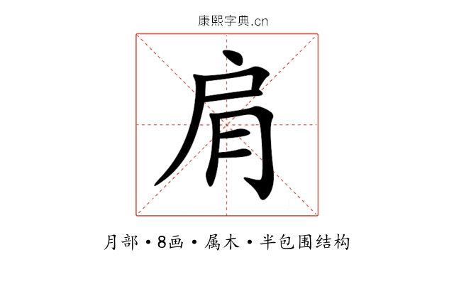 肩 肩