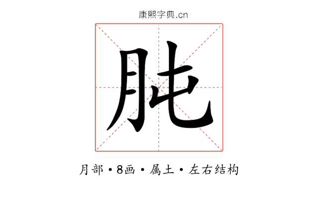 肫 肫