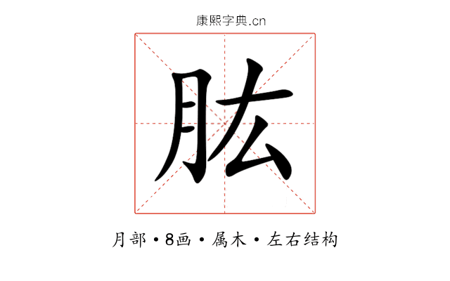 肱
