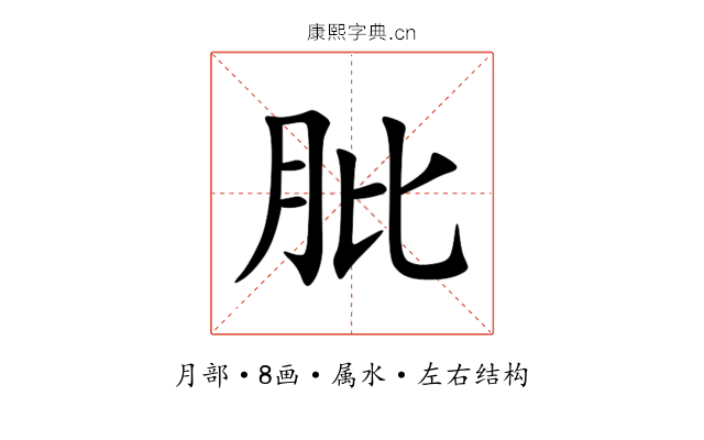 肶 肶