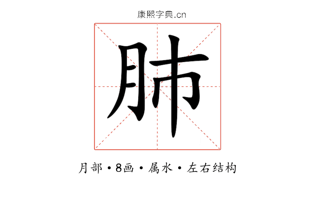 肺 肺