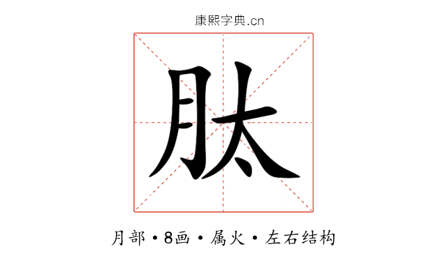 肽 肽