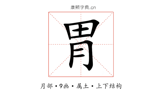 胃 胃