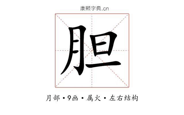 胆 胆