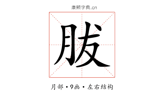 胈 胈
