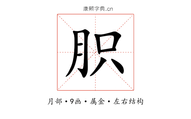 胑 胑