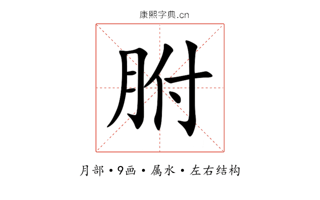 胕 胕