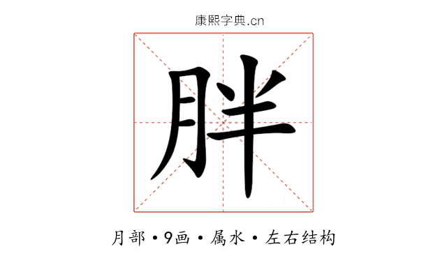 胖 胖