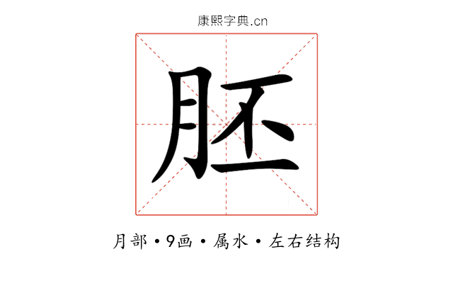 胚 胚