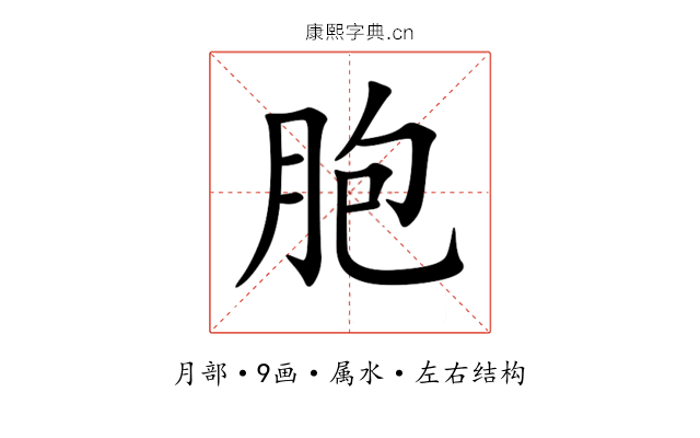 胞 胞