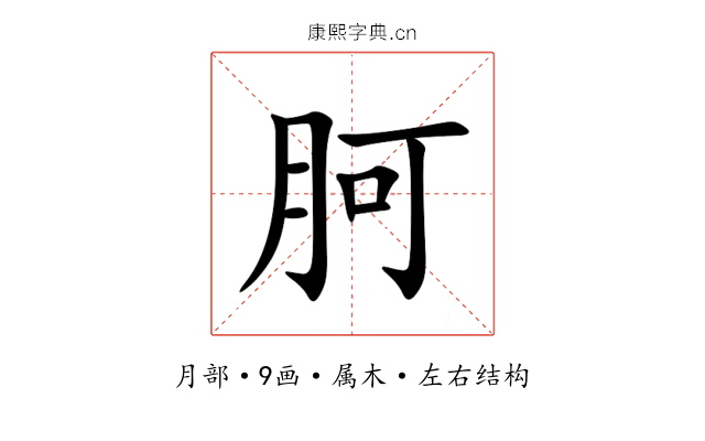 胢 胢