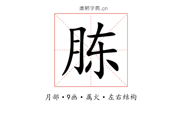 胨 胨