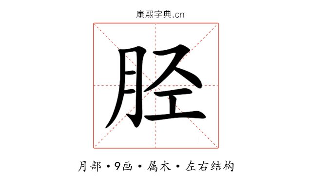 胫 胫