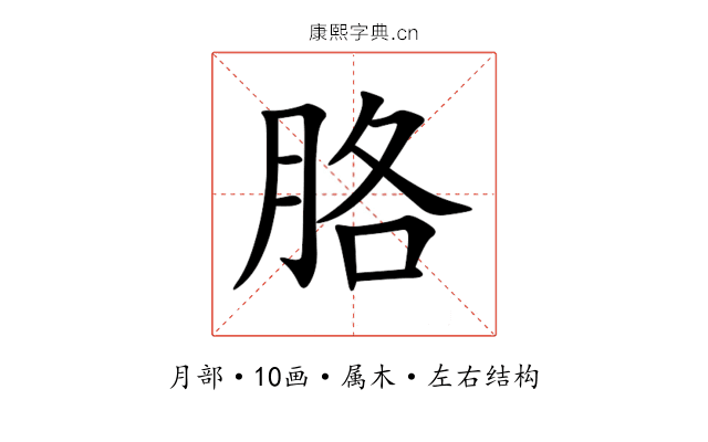 胳 胳