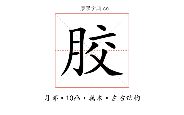 胶 胶