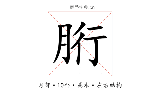 胻 胻