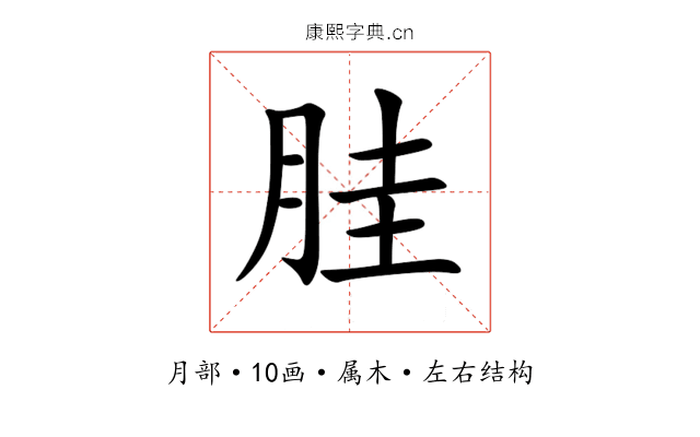 胿 胿