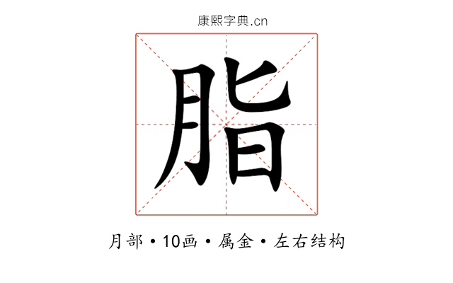 脂 脂