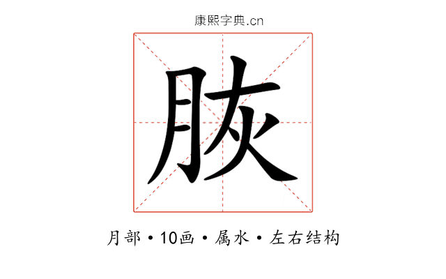 脄 脄