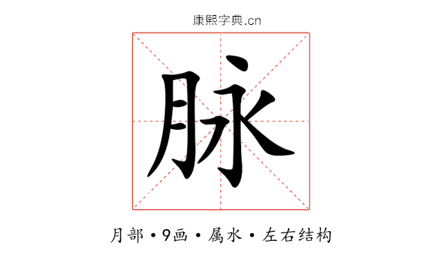 脉 脉