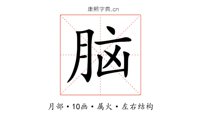 脑 脑