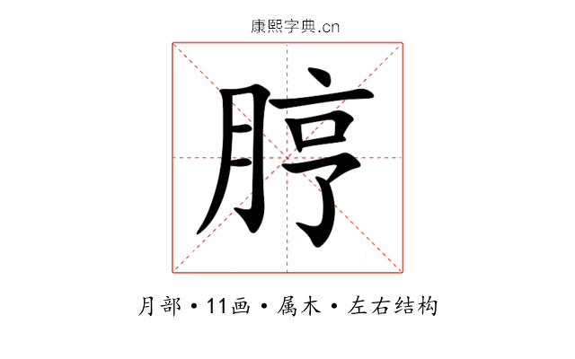 脝 脝