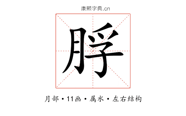 脬 脬
