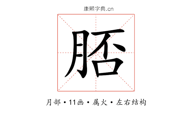 脴 脴