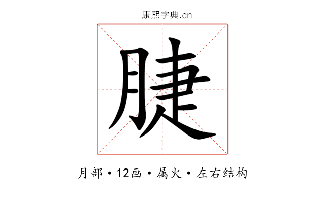 脻 脻