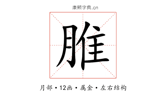 脽 脽