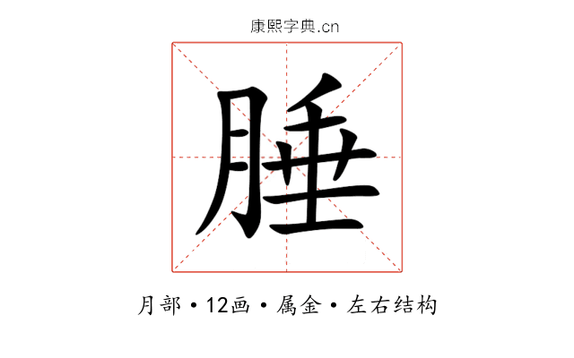 腄 腄