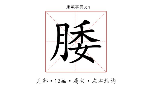 腇 腇