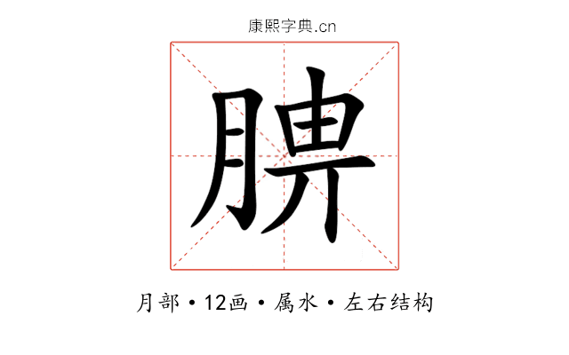 腗 腗