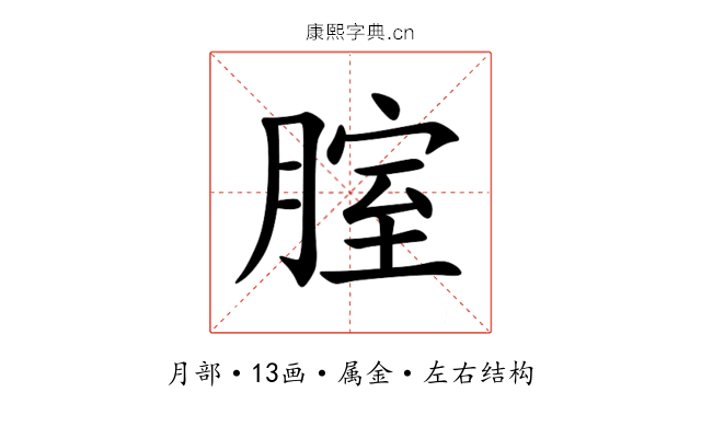 腟 腟