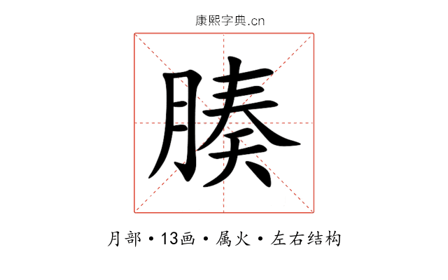 腠 腠
