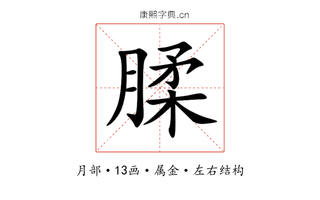 腬 腬