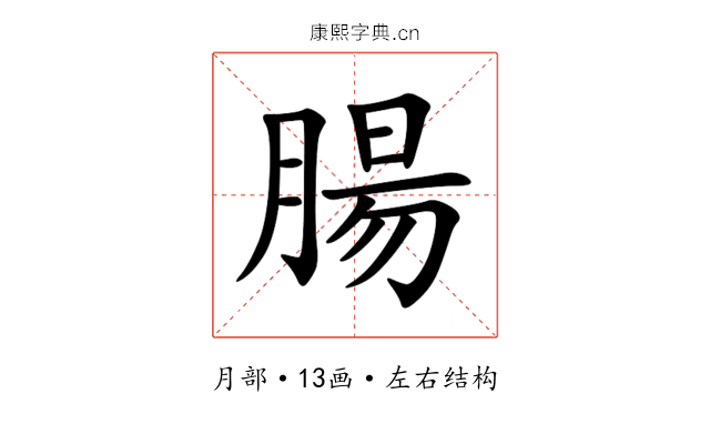腸 腸