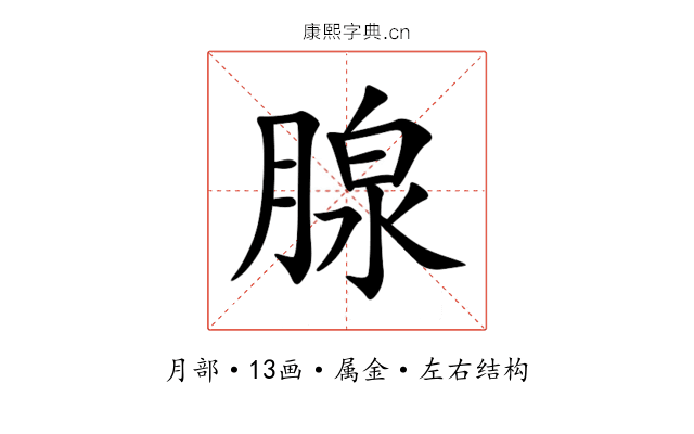 腺 腺