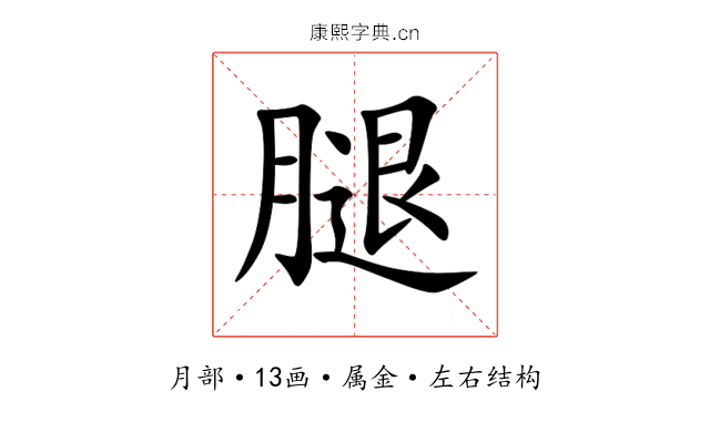 腿 腿