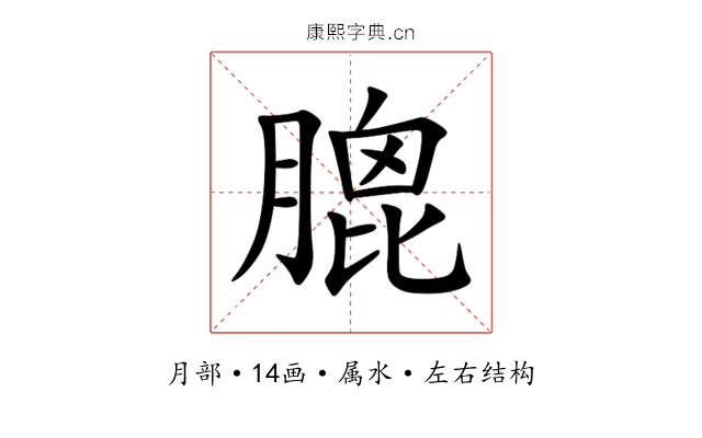 膍 膍