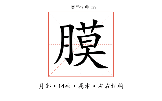 膜 膜