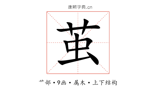 茧 茧