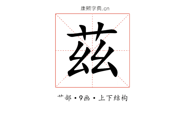茲 茲