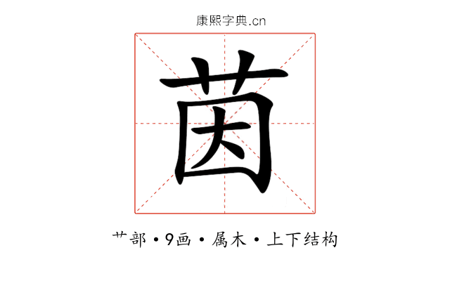 茵 茵